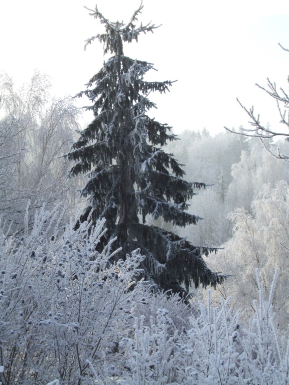 pohled z okna